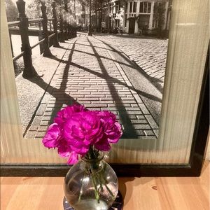 Meet your Posher, Darcy